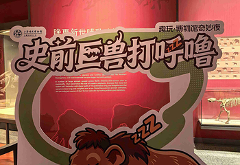 上海自然博物馆第 52 张图片