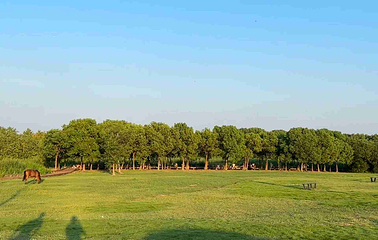 淀山湖风景区第 46 张图片