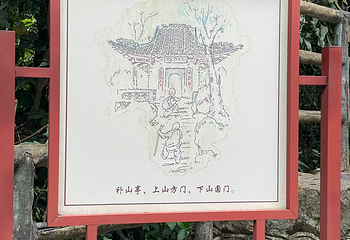 鼎湖山第 43 张图片