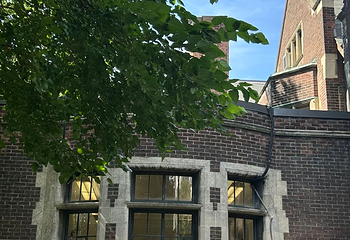 多伦多大学第 119 张图片