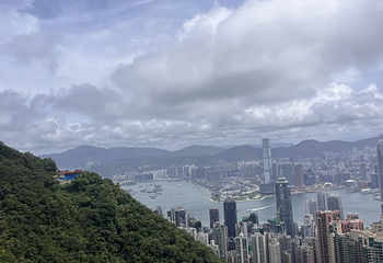 太平山顶第 289 张图片