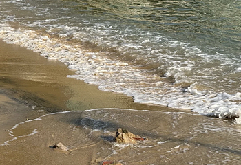 浅水湾第 79 张图片