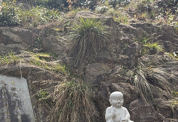 九华山风景区第 90 张图片