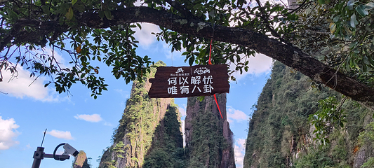 莽山旅游区国家森林公园第 46 张图片