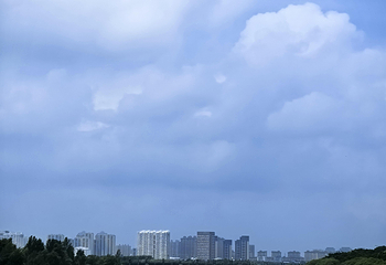 太阳岛风景区第 82 张图片
