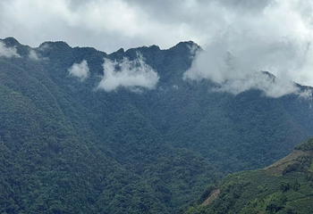 高黎贡山第 60 张图片