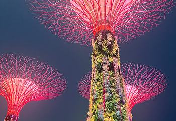 新加坡滨海湾花园第 275 张图片