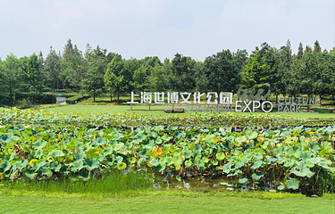 世博文化公园第 26 张图片