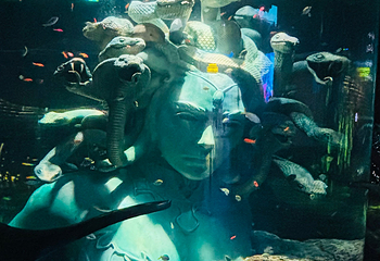 迪拜“失落的世界”水族馆第 26 张图片