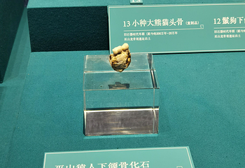 三峡博物馆第 126 张图片
