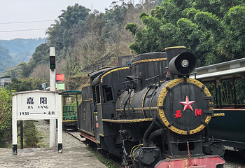 嘉阳桫椤湖旅游景区第 17 张图片