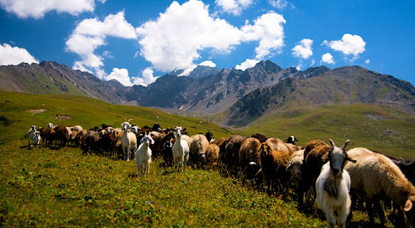 Кароол Дөбө - Панорама 3040м