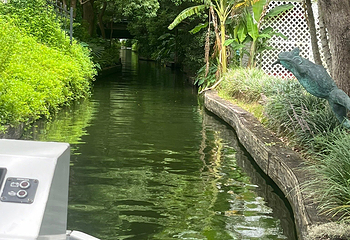 Scenic Boat Tour第 12 张图片