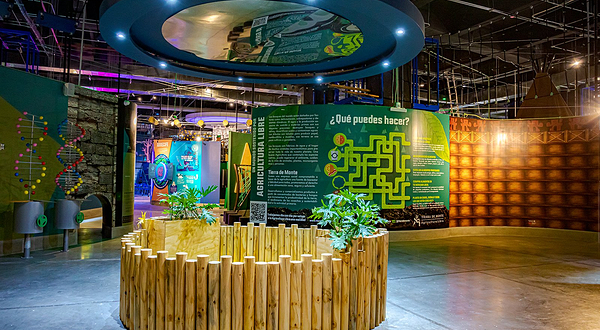 Acuario Michin Puebla