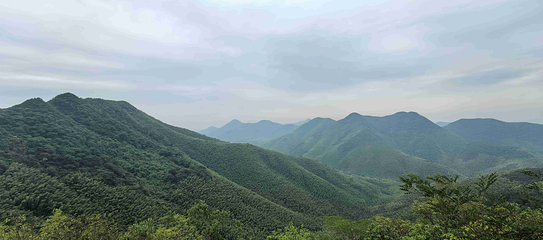 天目湖南山竹海第 126 张图片