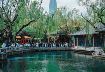 趵突泉景区第 115 张图片