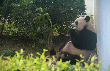 青岛动物园第 26 张图片