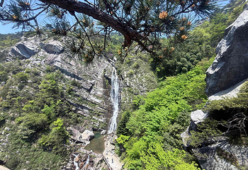 庐山风景名胜区第 94 张图片