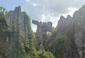 石林风景区第 156 张图片