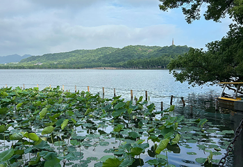 西湖风景名胜区第 258 张图片