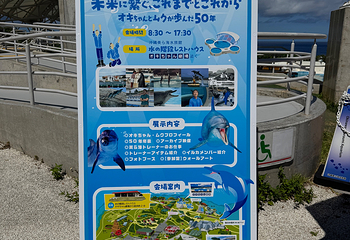 冲绳美丽海水族馆第 106 张图片