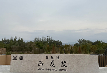 西夏陵第 141 张图片
