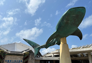 冲绳美丽海水族馆第 49 张图片