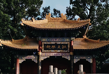 楼观台国家森林公园第 58 张图片