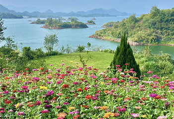 千岛湖华美胜地度假区第 72 张图片