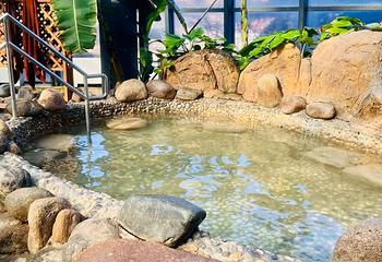 瑞阁温泉酒店温泉中心第 12 张图片