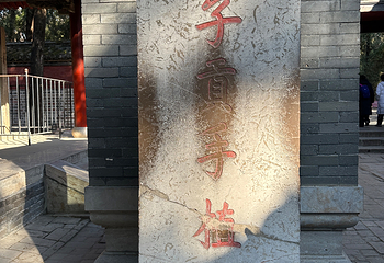 曲阜三孔景区第 197 张图片