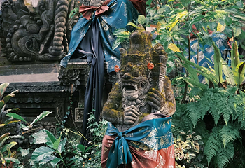 乌布第 39 张图片