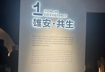 雄安印象第 27 张图片
