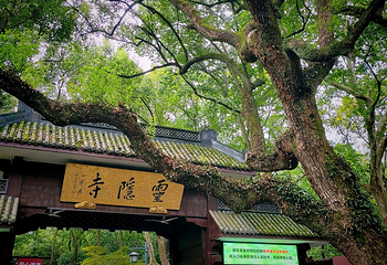 灵隐飞来峰景区第 41 张图片