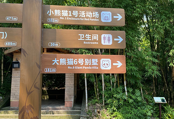 成都大熊猫繁育研究基地第 306 张图片