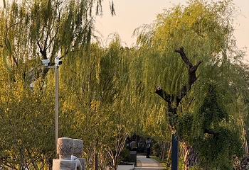蠡园第 61 张图片