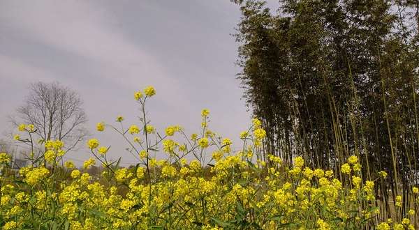 东岳民俗文化村-文殊寺