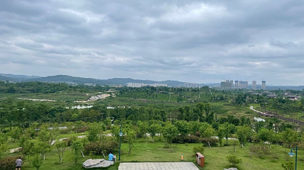 北部生态新区湿地公园第 1 张图片