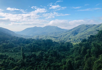 霸王岭第 63 张图片