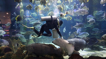 河内时代之城水族馆