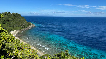 Apo Island Marine Sanctuary