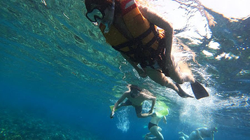 SD Point, Diving spot