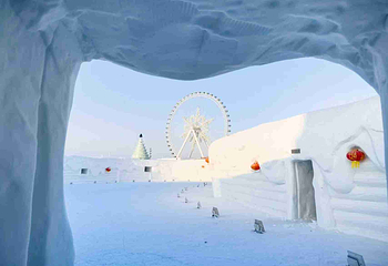 哈尔滨冰雪大世界第 416 张图片
