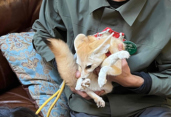 北京野生动物园第 341 张图片
