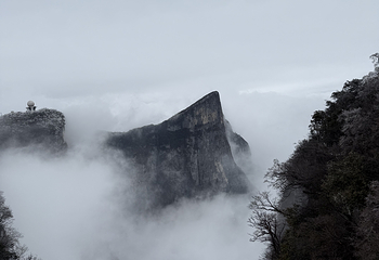 天门山国家森林公园第 727 张图片