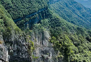 金佛山第 77 张图片