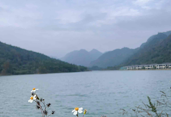 蓝山源岭南东方温泉第 22 张图片