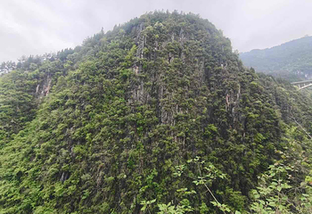 中国黔江城市大峡谷第 53 张图片