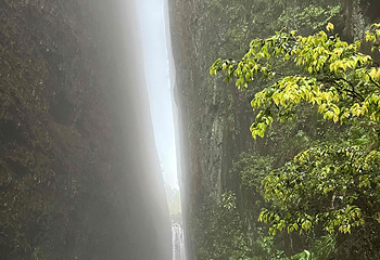 江郎山风景名胜区第 128 张图片