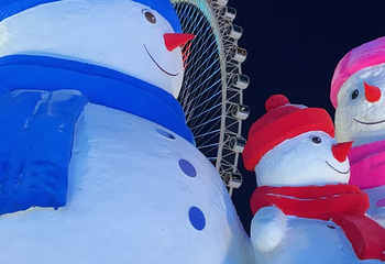 哈尔滨冰雪大世界第 1009 张图片